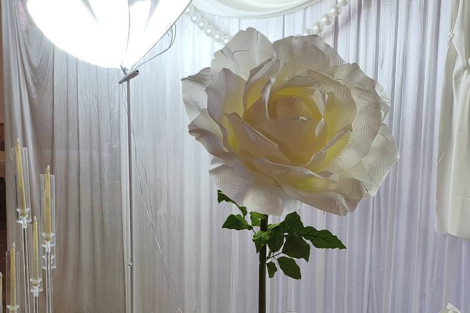 Rose géante droite