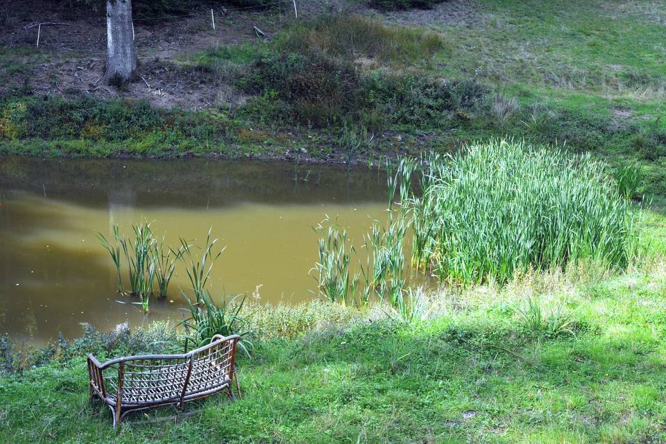 Lac aux poissons