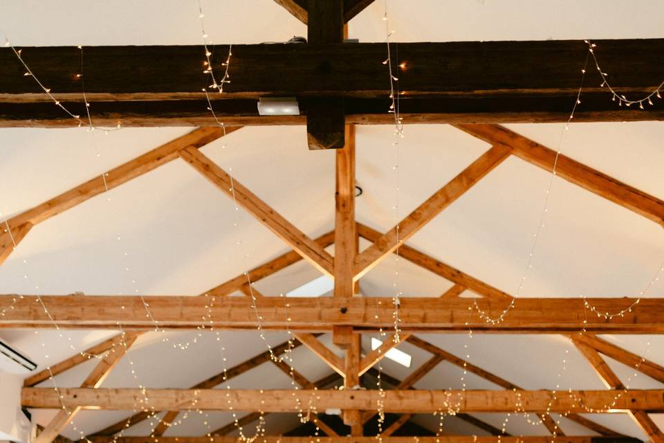 Salle lavande