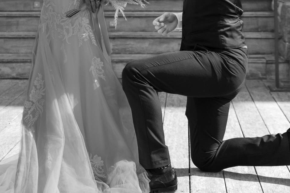 Le Regard d'Auré