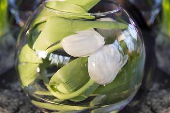 Bouquet en bocal
