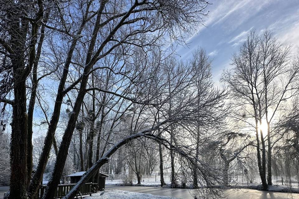 Lac sous la neige