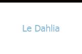 Le  Dahlia