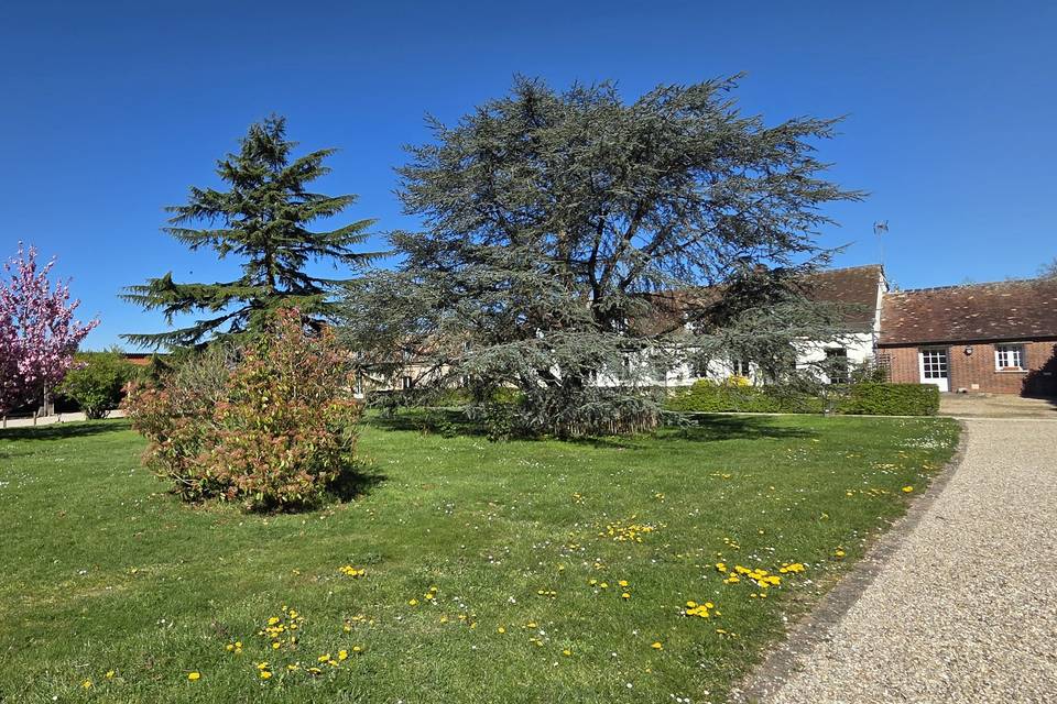 Jardin
