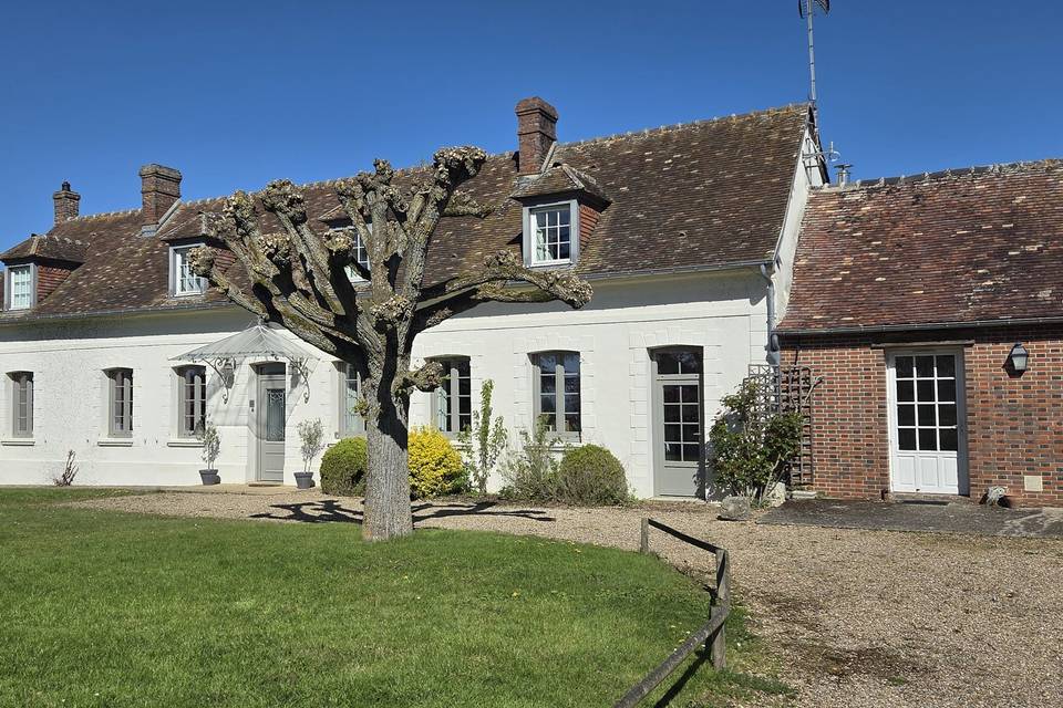 Maison