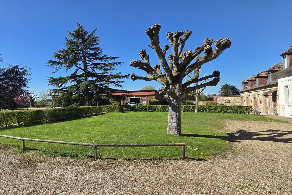 Jardin