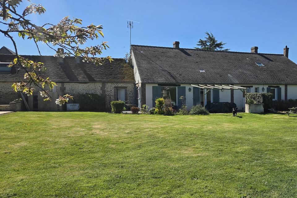 Maison