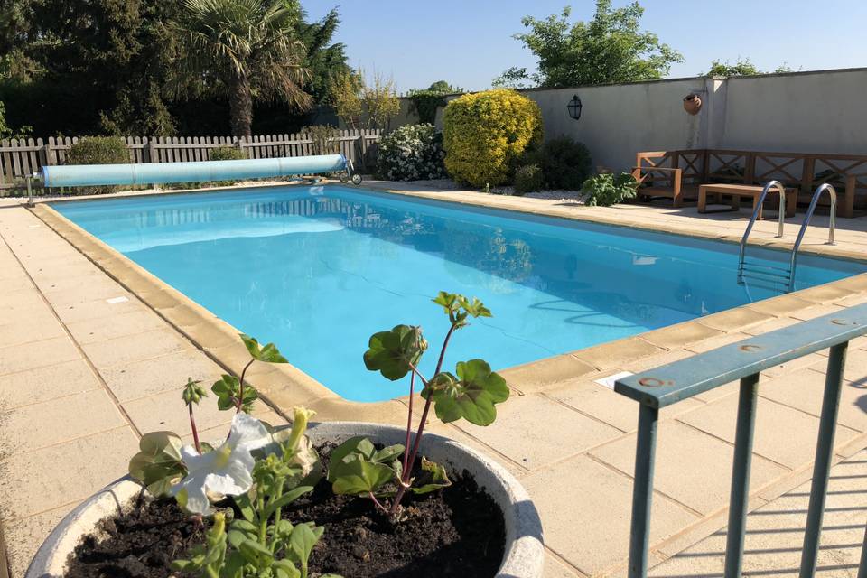 Piscine