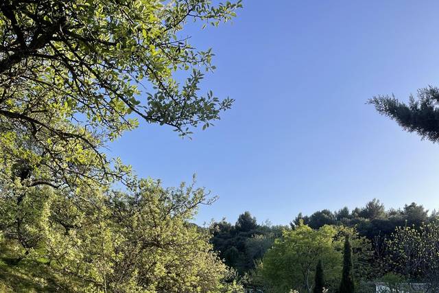 Le Parc