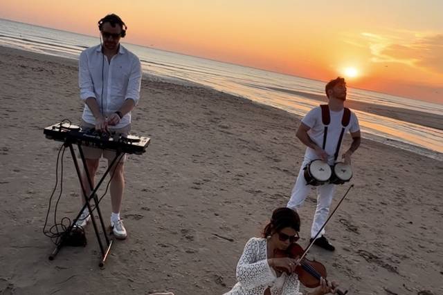 Dj / Percus / Violon