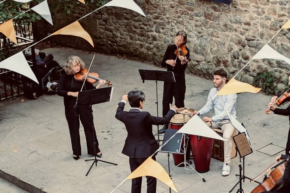 Percus / Quatuor à cordes