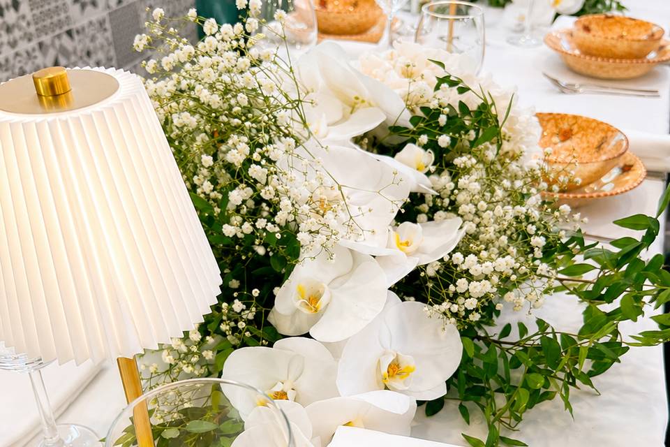 Orchidée