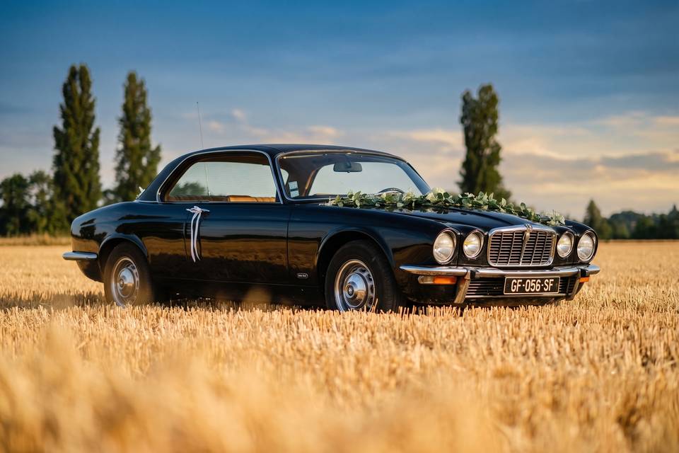 Jaguar XJ Coupé bleu nuit