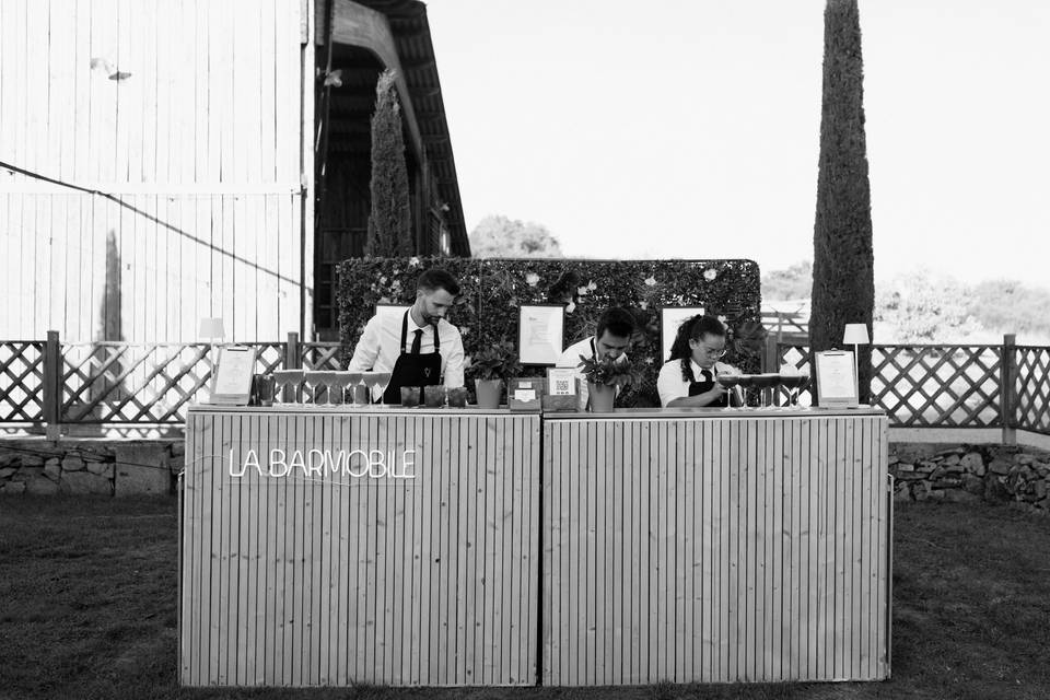 Mariage Annecy–Chambéry : bar