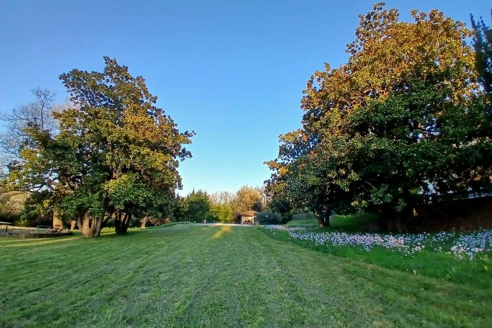 Vue parc
