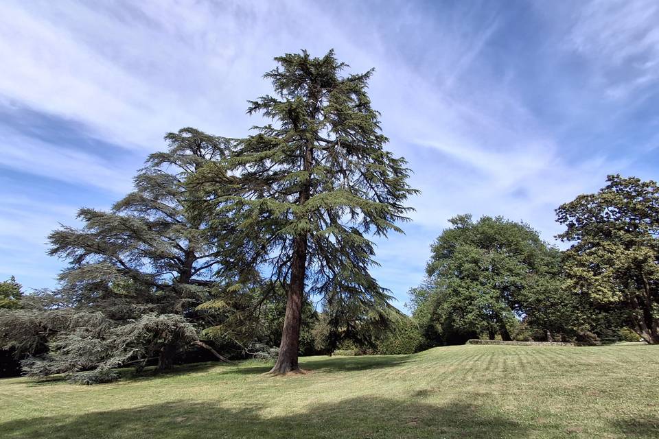 Vue parc