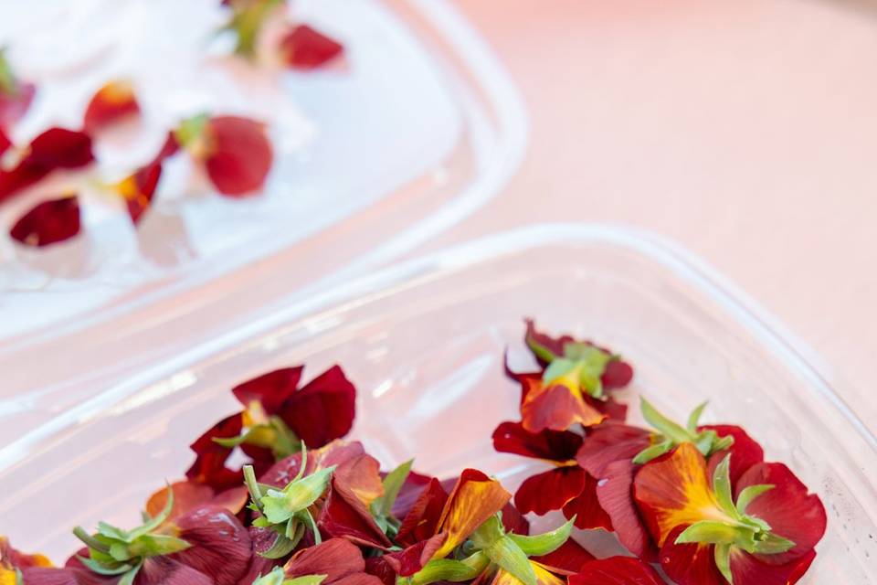 Coupes salade