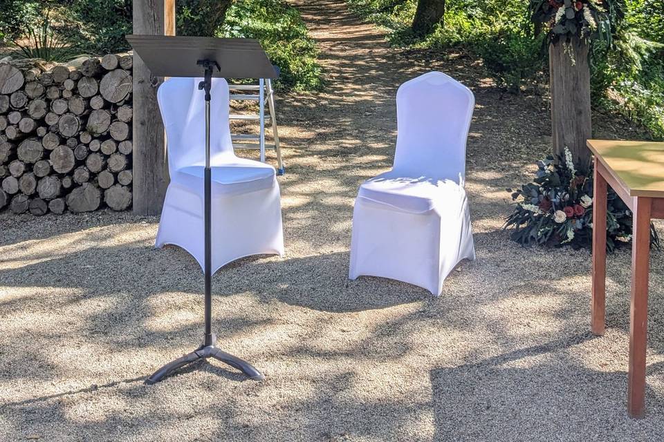 Arche fleurs séchées
