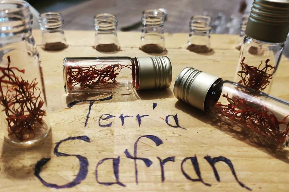 Terr'a Safran