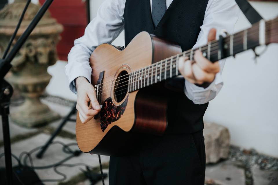 Guitar