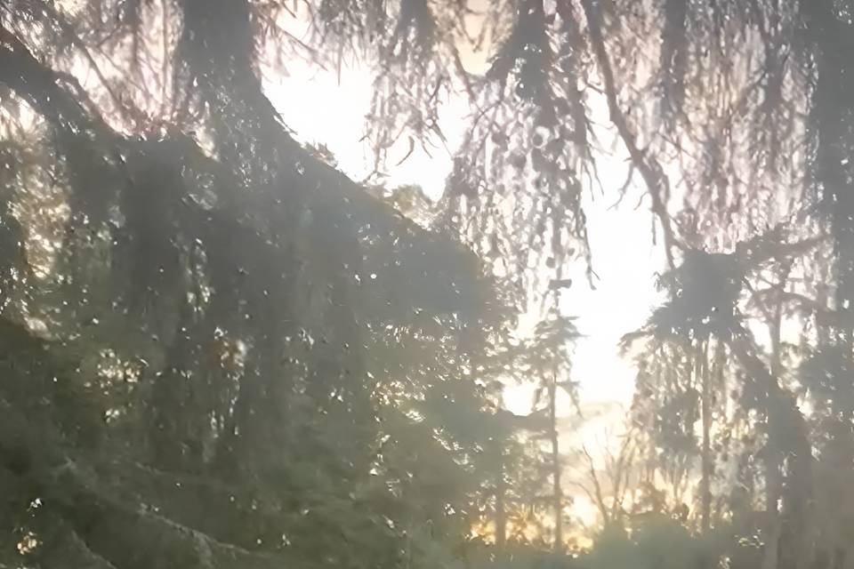 Singing