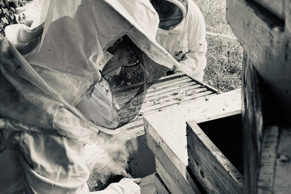 Les Abeilles du Perche