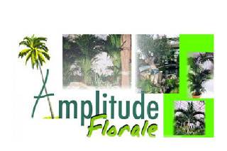 Amplitude Florale