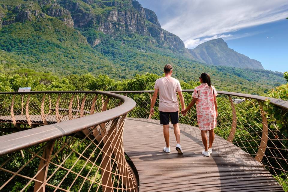 Voyage de noces Afrique du Sud