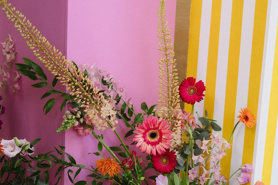 Colorful