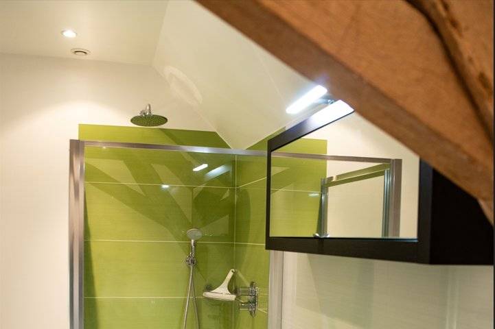 La salle de bain verte