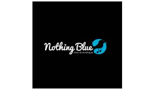 Logo nothing blueok