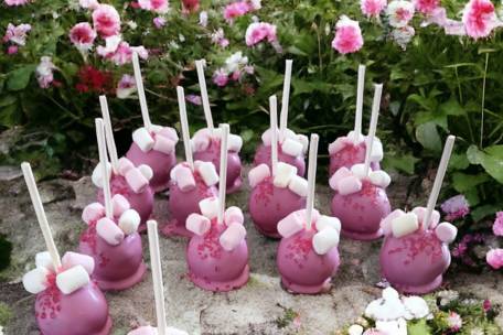 Cakepops personnalisés