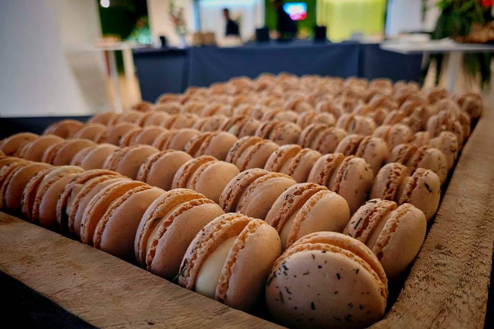 Macarons dégustation