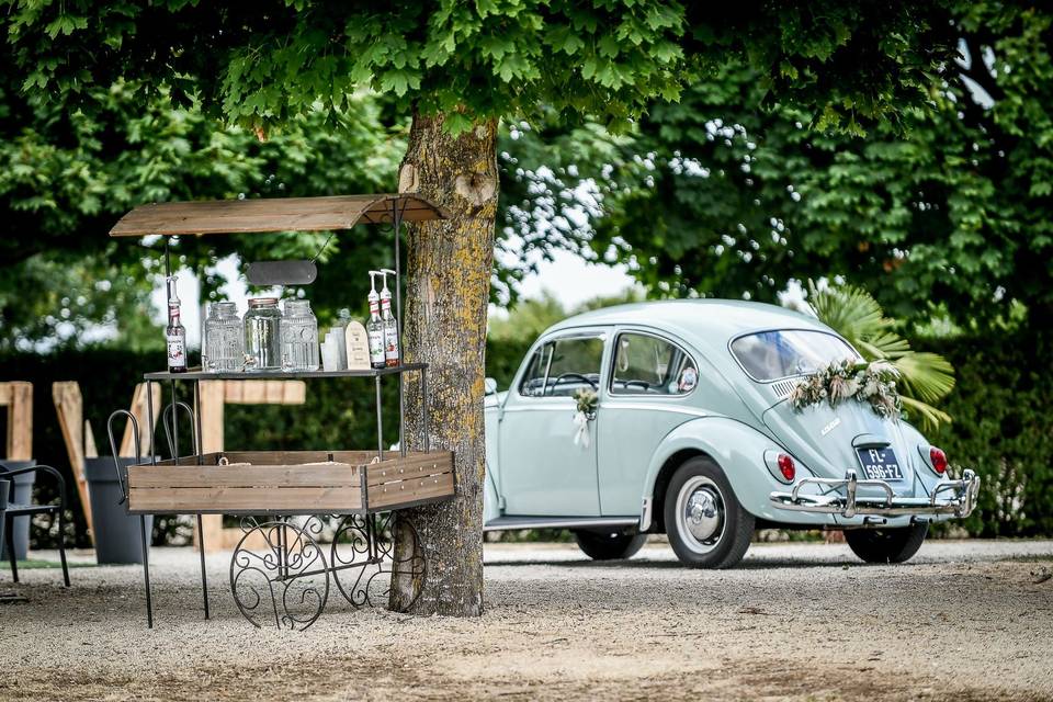 Elégance Vintage