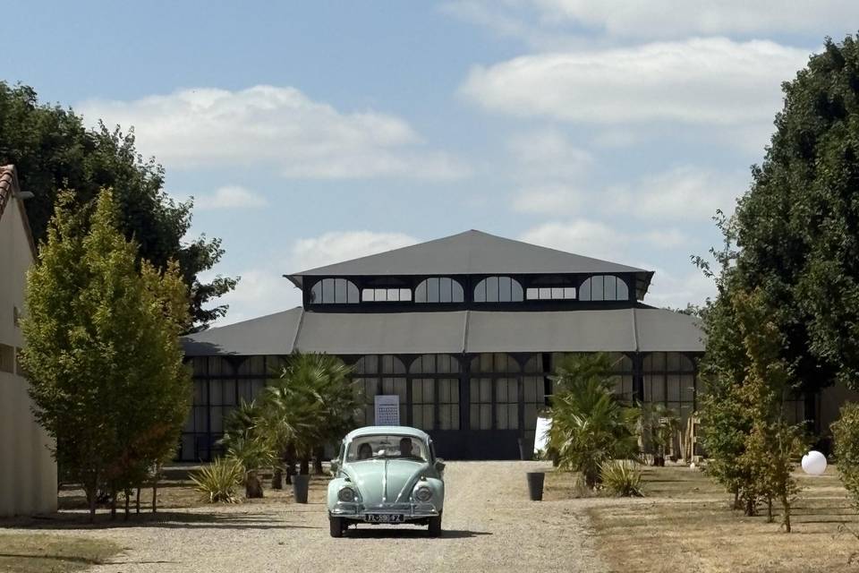 Élégance vintage
