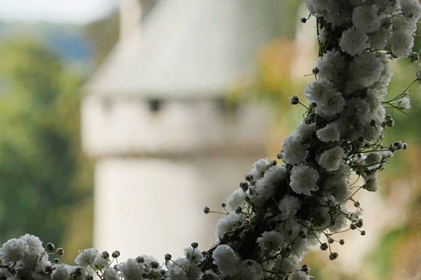 Messagère de vos souvenirs.