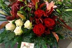 Fleurs de haute qualité