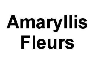 Amaryllis Fleurs