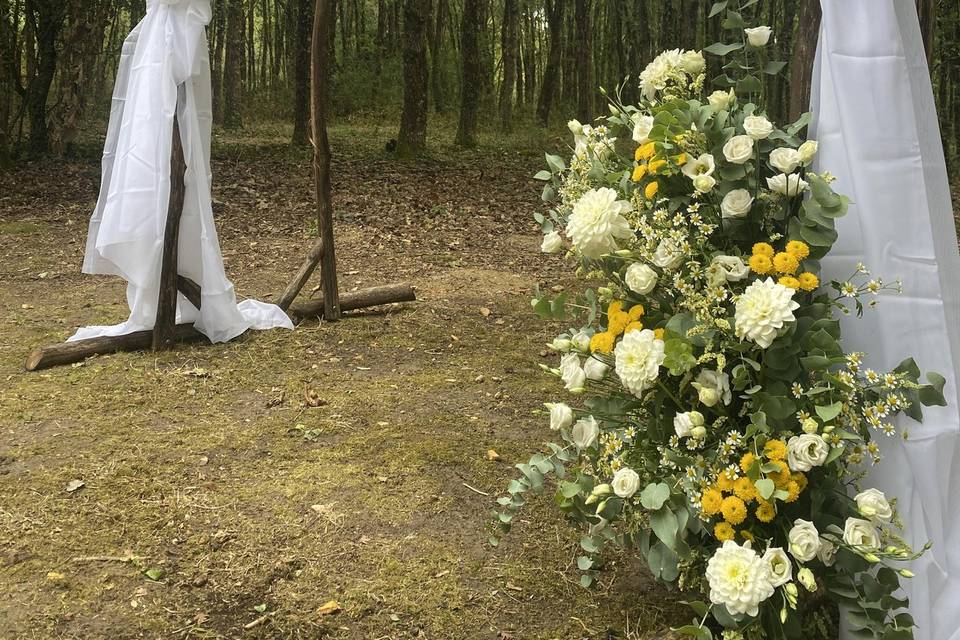 Arche jaune et blanche