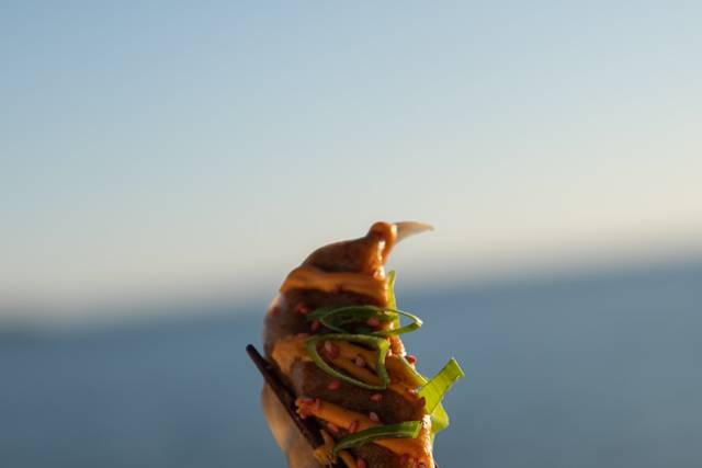 Gyoza