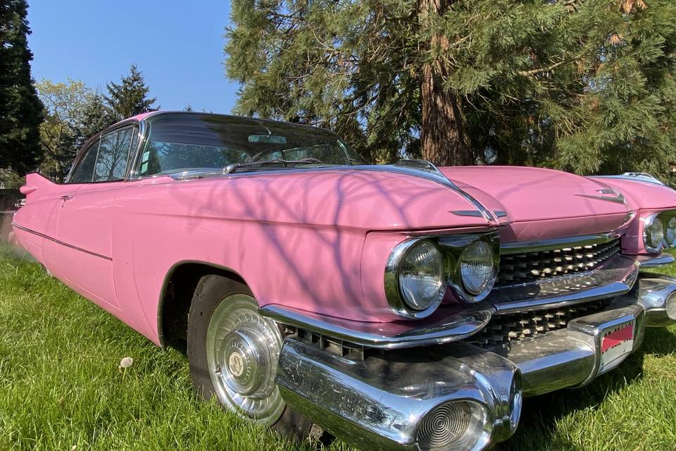 Cadillac Rose 1959