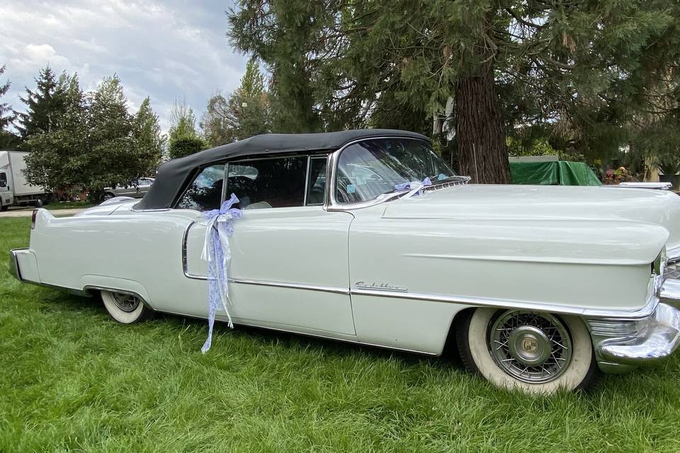 Cadillac Blanche 1955