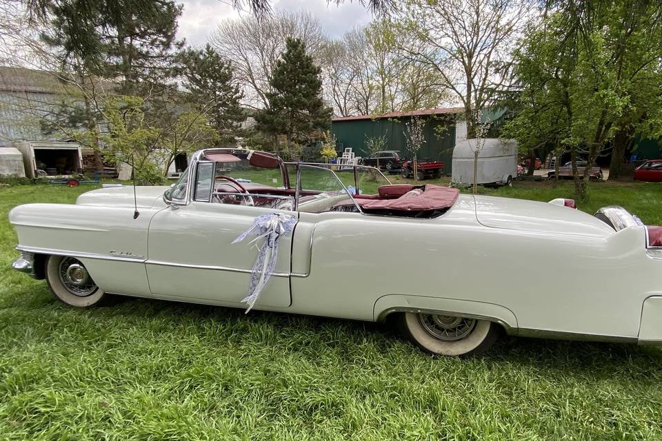 Cadillac Blanche 1955