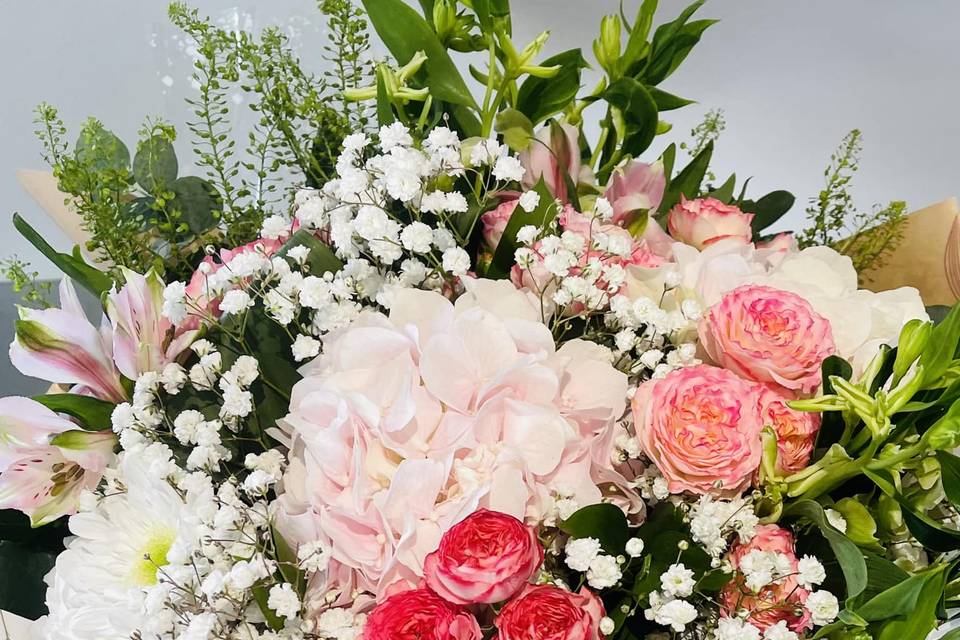 Rose de France