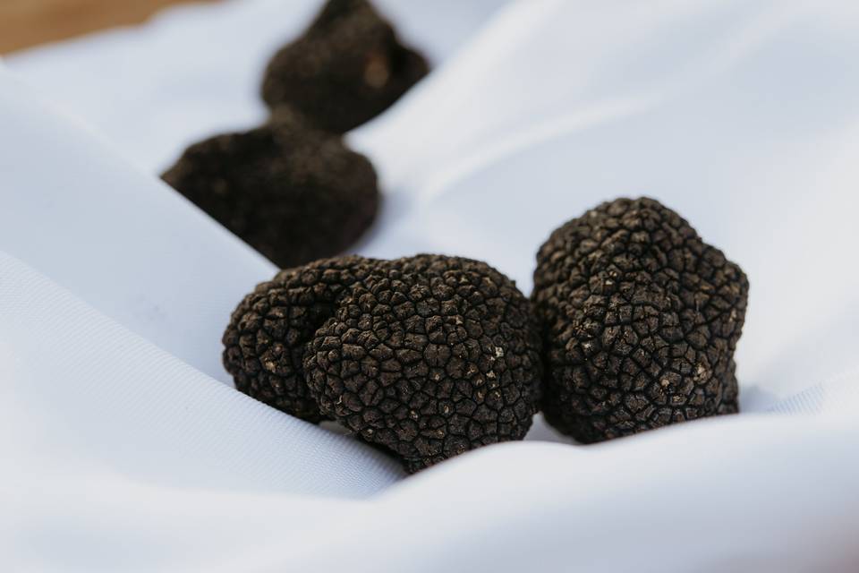 Truffes été