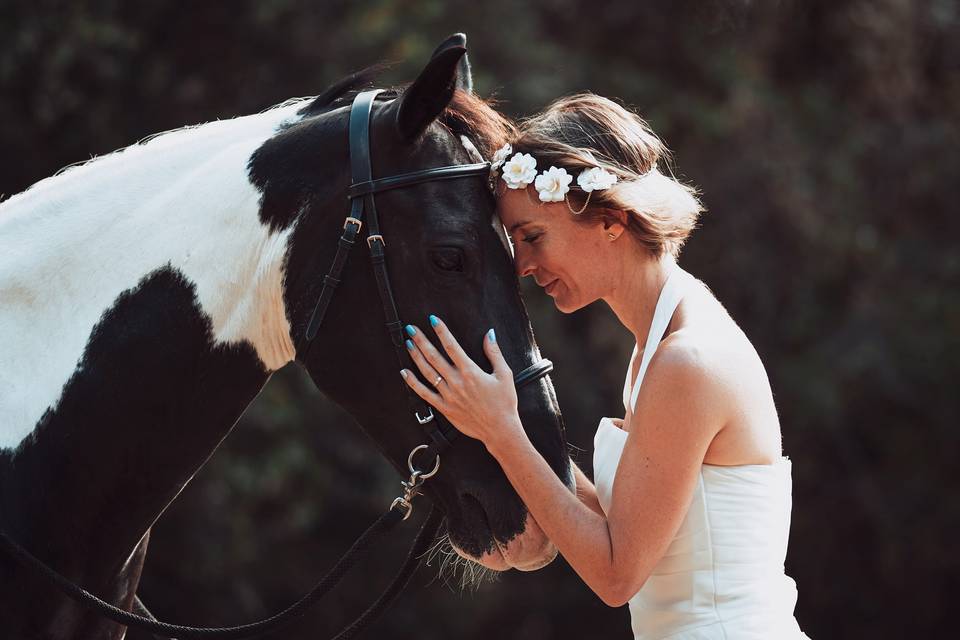 Animaux