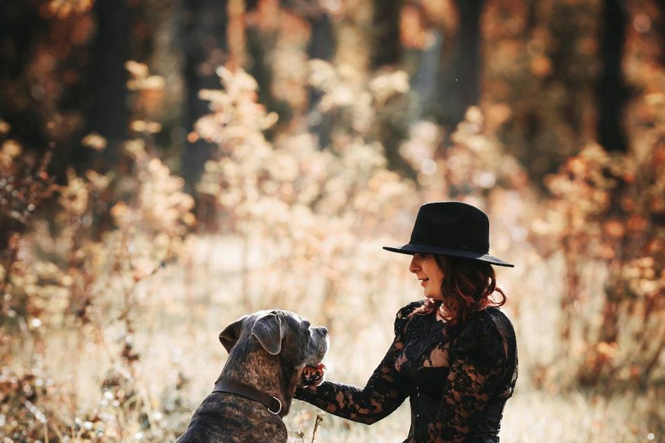 Animaux