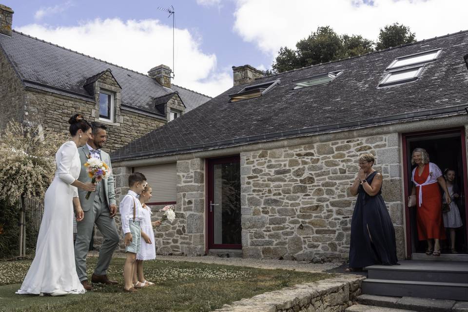 Black Cedar
