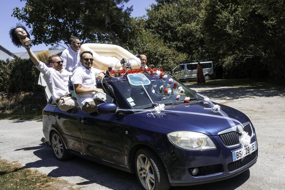 Black Cedar