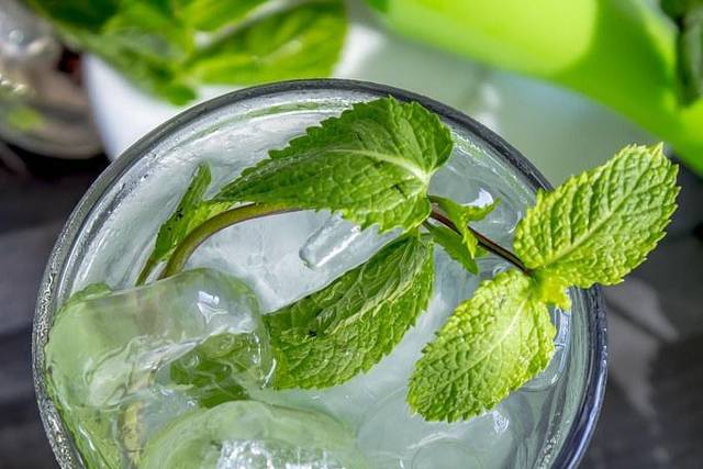 The Cocktail Experience
